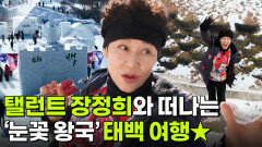 믿고 떠나는 스타의 고장: 탤런트 장정희의 강원특별자치도 태백시 | KBS 251218 방송 