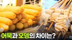 음식 X-파일: 겨울철 대표 음식, 어묵 | KBS 251219 방송 