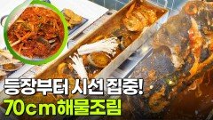 결정적 한 수: 등장부터 시선 집중! 70cm 해물조림 | KBS 260109 방송 