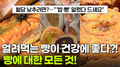 음식 X-파일: 인류의 맛있는 동반자, 빵 | KBS 260114 방송 