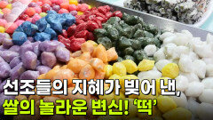  음식 X-파일: 선조들이 사랑한 별식, 떡 | KBS 260209 방송 