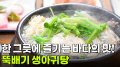 장사의 신: 삼색 매력의 맛! 뚝배기 생아귀탕 | KBS 260209 방송 