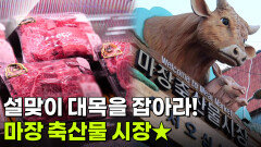요즘 시장 24시: 설맞이 대목을 잡아라! 마장 축산물 시장 | KBS 260211 방송 