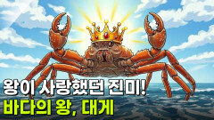 음식 X-파일: 바다의 왕, 대게 | KBS 260227 방송 