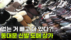 핫 플레이스 NOW: 새 신을 신고 뛰어보자 폴짝, 동대문 신발 도매 상가 | KBS 방송