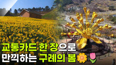 교통카드면 충분해: 구례의 봄을 찾아 떠나는 여행 | KBS 260323 방송 