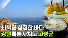 장PD의 AI 여행기: 최북단의 청정한 바다가 반기는 고성 | KBS 260330 방송 