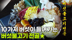 결정적 한 수: 10가지 버섯이 들어가는 버섯불고기전골 | KBS 260331 방송 
