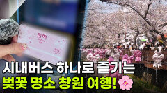 교통카드면 충분해: 시내버스 타고 떠나는 창원 여행 | KBS 260331 방송 
