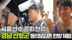 해피 벌쓰데이: 씨름선수 손희찬의 경상남도 산청군 | KBS 260505 방송 