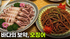 음식 X-파일: 바다의 보약, 오징어 | KBS 260506 방송 