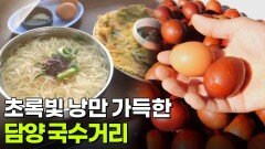 핫 플레이스 NOW: 초록빛 낭만 가득한 담양 국수거리 | KBS 260511 방송 