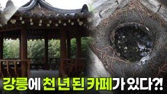 떠나요~ 이야기로(路): 강릉에 숨겨진 천 년 전 이야기 | KBS 260513 방송 