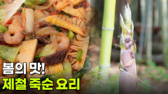 음식 X-파일: 봄의 맛! 제철 죽순 요리 | KBS 260518 방송 