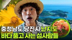 한눈에 반했~섬(島): 충청남도 당진시 난지도 | KBS 260618 방송 