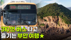 교통카드면 충분해: 310번 버스 타고 즐기는 부안 여행 | KBS 260623 방송 