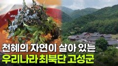 떠나요~ 이야기로(路): 고성에 숨겨진 70여 년 전 이야기 | KBS 260624 방송 