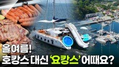 신(新)vj특공대: 올여름! 호캉스 대신 ‘요캉스’ | KBS 260706 방송 