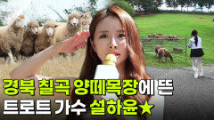 해피 벌쓰데이: 가수 설하윤의 경상북도 칠곡군 | KBS 260715 방송 