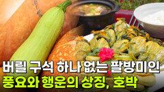 음식 X-파일: 풍요와 행운의 상징, 호박 | KBS 260716 방송 