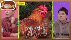 죽은 닭만 만져봤지… 살아있는 닭은 처음이라… 잡느냐 잡히느냐 | KBS 220109 방송