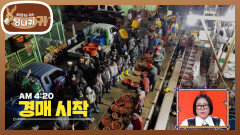 고등어 못 알아보는 방신..? 팀장님과 방어 먹이 입찰 | KBS 251130 방송 