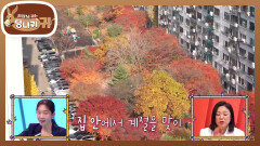 가사도우미 방이 따로 있는 구축 아파트? 못도 안 들어가는 튼튼한 집! | KBS 260111 방송 