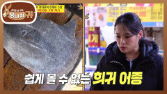 포항에서만 볼 수 있는 개복치?! 뽀얀 속살로 만든 개복치수육 | KBS 260426 방송 