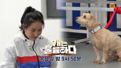 [예고] 개는 훌륭하다 10회 예고 | KBS 방송