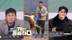 [예고] 개는 훌륭하다 11회 예고 | KBS 방송