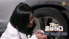 [예고] 개는 훌륭하다 12회 예고 | KBS 방송