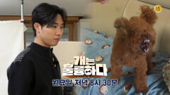 [예고] 개는 훌륭하다 13회 예고 | KBS 방송