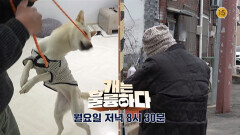 [예고] 개는 훌륭하다 16회 예고 | KBS 방송
