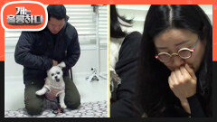 흥분 MAX 고민犬 호야의 통제 훈련 모습에 놀란 보호자?! | KBS 230206 방송