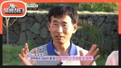 아빠 보호자의 고민은? 위협적인 단체 입질과 약한 봄이를 린치하는 반려견들 | KBS 230529 방송