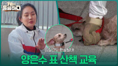 입질견도 환골탈태! 양은수 표 산책 교육 | KBS 251211 방송 
