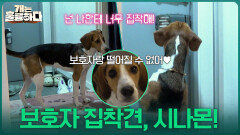 “ 넌 나한테 너무 집착해! ” 보호자 집착견, 시나몬! | KBS 251030 방송 