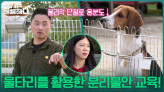 “ 기다리면 돌아오는구나! ” 울타리를 활용한 분리불안 교육! | KBS 251030 방송 
