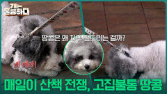 매일이 산책 전쟁, 고집불통 땅콩 ＂오늘도 산책 실패＂ | KBS 251113 방송 