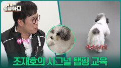 ＂쉬~~!＂ 조재호의 시그널 탭핑 교육 | KBS 251113 방송 