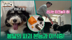온 집안이 풍비박산?! 봉달의 파괴 본능과 이식증! | KBS 251120 방송 