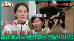 “ 저렇게까지? ” 실내에서도 계속되는 오줌싸개 봉달의 마킹 | KBS 251120 방송 