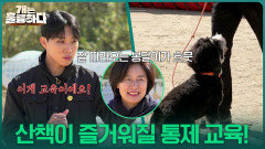 보호자와 봉달의 산책이 즐거워질 통제 교육! | KBS 251120 방송 