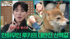 안하무인 루키의 대반전 산책길 ＂집에서만 왕이네＂ | KBS 251127 방송 