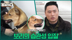 가족을 피로 물들인 보리의 습관성 입질 | KBS 260105 방송 