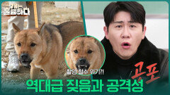 촬영 철수 위기?! 역대급 짖음과 공격성 | KBS 260105 방송 