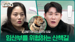 만삭 임산부를 위협하는 산책길 | KBS 260105 방송 