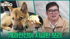 담임 선생님 결정전! 개과천선이 시급한 보리 | KBS 260105 방송 