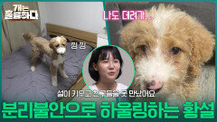 보호자의 유일한 낙이 된 황설이 분리불안으로 인한 하울링?! | KBS 251225 방송 