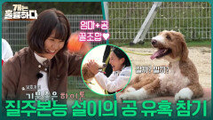 황설이의 질주본능! 역발상 교육으로 공 유혹 참기 성공?! | KBS 251225 방송 